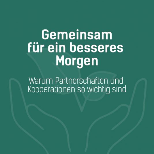 partnerschaften-kooperationen